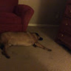 Meet your Posher, David